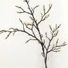 Magnolia Branches (Bunch of 10) Online
