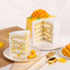 Shop Mango Lovers Delight