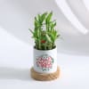 Buy Merry Christmas - Bamboo Plant With Personalized Pot