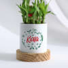 Shop Merry Christmas - Bamboo Plant With Personalized Pot