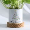Shop Merry Christmas - Money Plant With Pot
