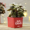 Buy Merry Xmas Personalized Red Ceramic Planter