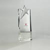 Metal Star Crystal Trophy Online