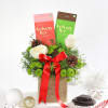 Mini Chocolate Bouquet for Christmas Online