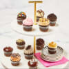Mini Chocolate Lovers Cupcakes Online