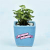 Mini Syngonium Plant in Fathers Special Customized Ceramic Pot (Low Light/Moderate Water) Online