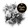 Mixed cut flowers - Florist’s Choice Online