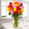 Mixed Fairtrade roses in a bunch Online