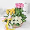 Gift Mixed Roses in Basket Arrangement with Mini Teddy