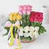 Gift Mixed Roses in Basket Arrangement with Teddy