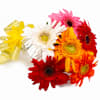 Gift Mixed Vibrant Gerberas Bouquet