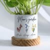 Gift Mom's Garden - Personalized Money Plant With Planter