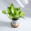 Shop Mom's Garden - Personalized Money Plant With Planter