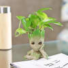 Shop Money Plant in a Baby Groot Planter