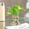 Shop Money Plant in a Baby Groot Planter