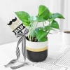 Gift Money Plant in a Ceramic Planter For The Best Dad