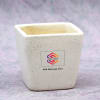 Gift Money Plant in Ceramic Pot - Customized with Message & Logo