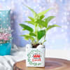 Money Plant In White Ceramic Planter For Mom Online