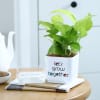 Gift Money Plant With Self-Watering Planter