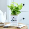 Money Plant With Self-Watering Planter Online