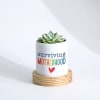 Gift Mother's Day - Echeveria Succulent With Planter