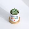 Shop Mother's Day - Echeveria Succulent With Planter
