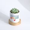 Mother's Day - Echeveria Succulent With Planter Online