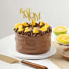 Gift Mother's Day Fruitful Fantasy Chocolate Cake (Half kg)