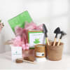 Mother's Day Italian Basil DIY Kit with Mini Garden Tools Online
