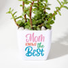 Buy Mother's Day Jade Plant With Plastic Pot