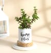 Gift Mother's Day Jade Plant With Pot