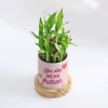 Buy Mother's Day - Personalized Two Layered Bamboo Plant In Pot