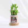 Shop Mother's Day - Personalized Two Layered Bamboo Plant In Pot