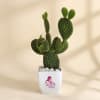 Mother's Day Rabbit Cactus with Planter Online