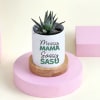 Gift Mothers Day Glorious Haworthia With Planter