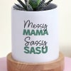 Shop Mothers Day Glorious Haworthia With Planter
