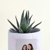 Buy Mothers Day Personalized Haworthia With Planter