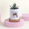 Mothers Day Personalized Haworthia With Planter Online