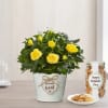 Mothers Day Rose plant Online