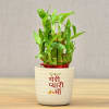 Mothers Day Special Two Layer Lucky Bamboo In Ceramic Pot (Moderate Sunlight/Less Water) Online