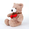 Buy Muffler Teddy And Ombre Rose Cake Birthday Surprise