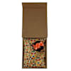 Multicolour Pocket Square And Lapel Pin Combo Online
