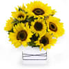 My Sunflower Garden Online