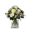 Natural Magic of Blossoms Online