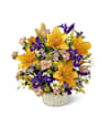 Natural Wonders Bouquet Online