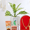 Gift Nature Joy & Sweet Treats
