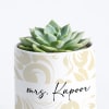 Gift Nature's Gem - Echeveria Succulent With Pot - Personalized