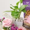 Buy Natures Delights Gift Hamper