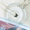 Gift Necklace - Butterfly - Single Piece - Juju Joy