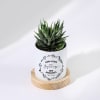 Buy New Beginnings - Haworthia Succulent With Personalized Pot